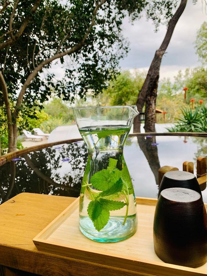 Kuralemu Casa De Campo Curacavi Zewnętrze zdjęcie