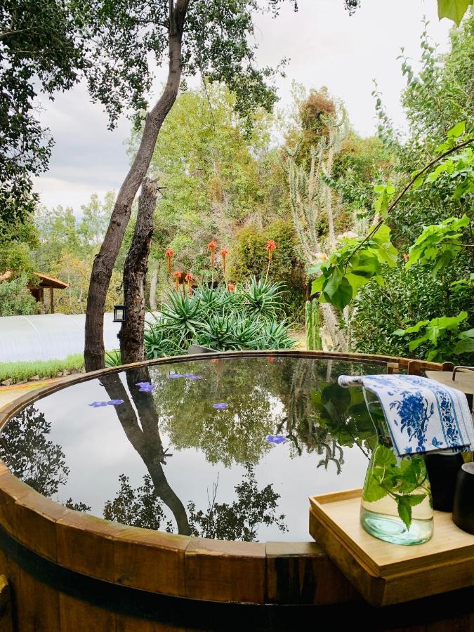 Kuralemu Casa De Campo Curacavi Zewnętrze zdjęcie