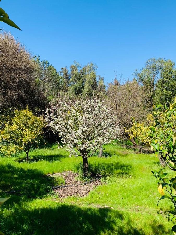 Kuralemu Casa De Campo Curacavi Zewnętrze zdjęcie