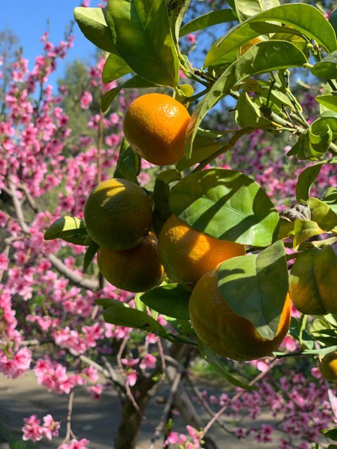 Kuralemu Casa De Campo Curacavi Zewnętrze zdjęcie